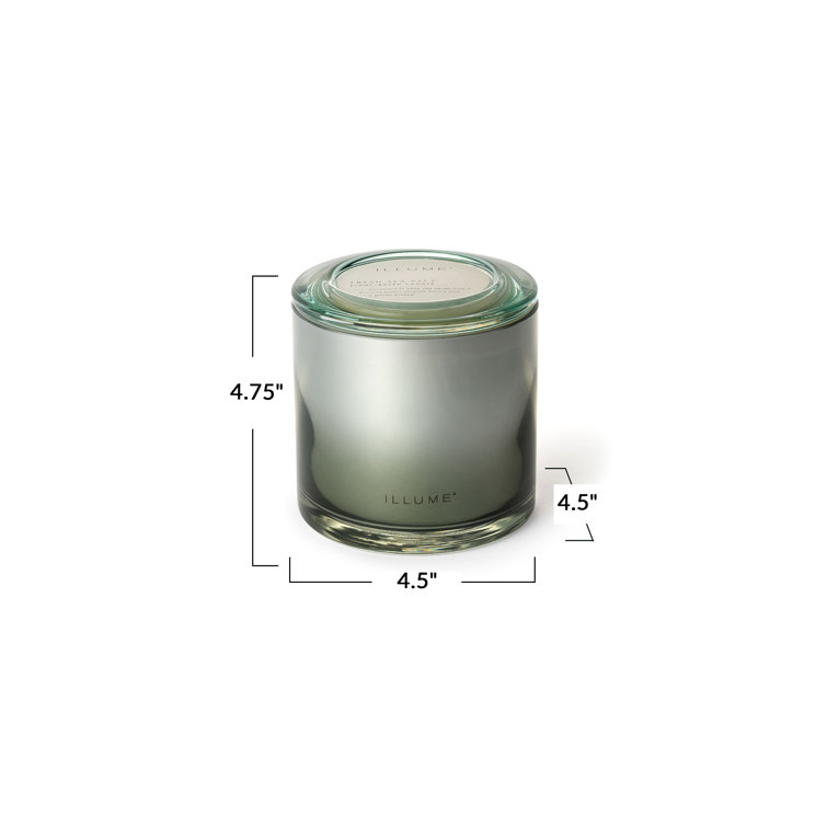 Illume Imane Fresh Sea Salt Candle Wayfair Canada